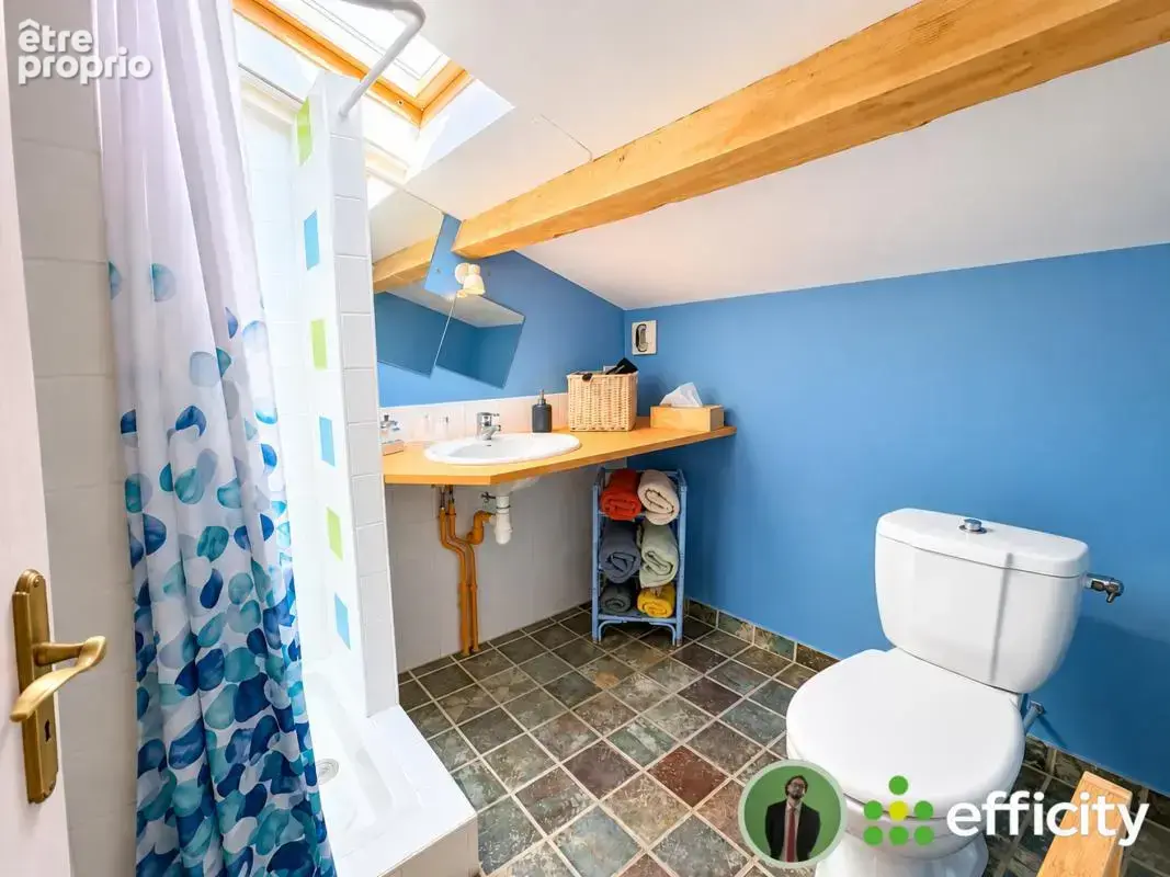 Maison 13 pièces 320 m² à vendre à Lagnieu (01150) - photo 23