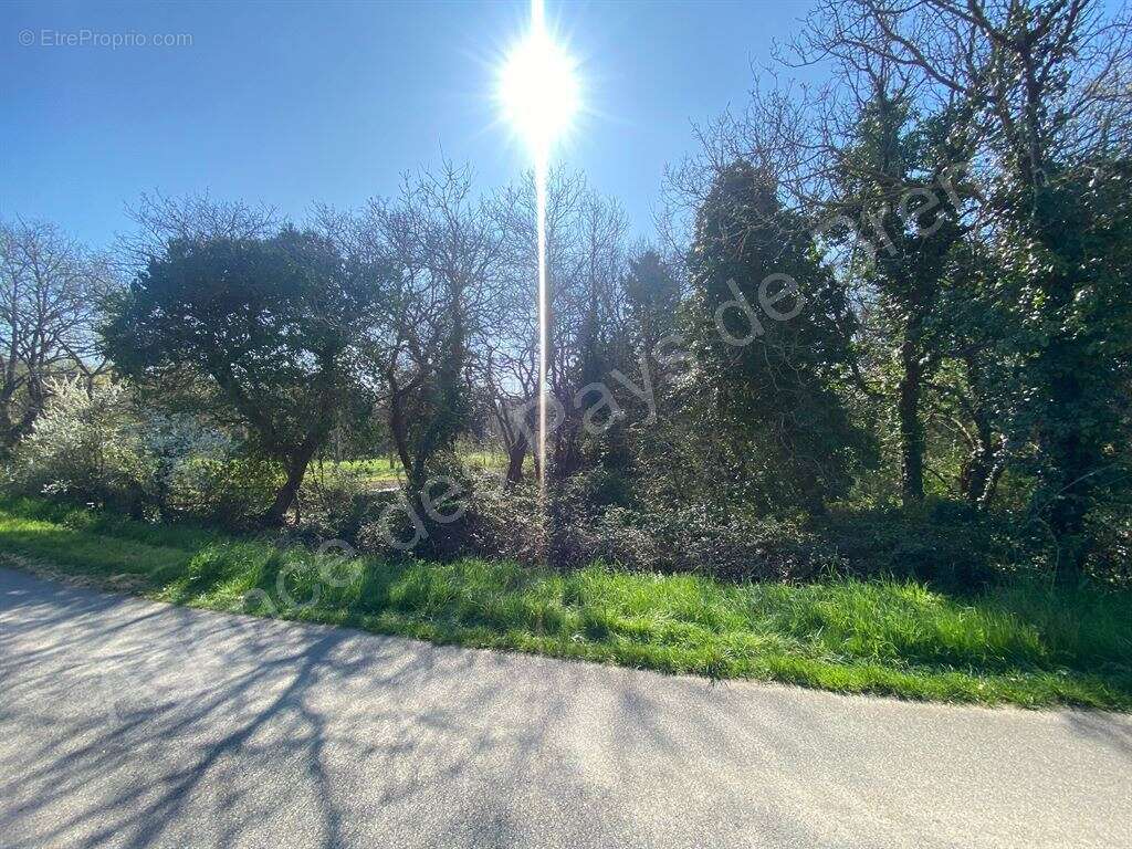 Terrain à BREM-SUR-MER