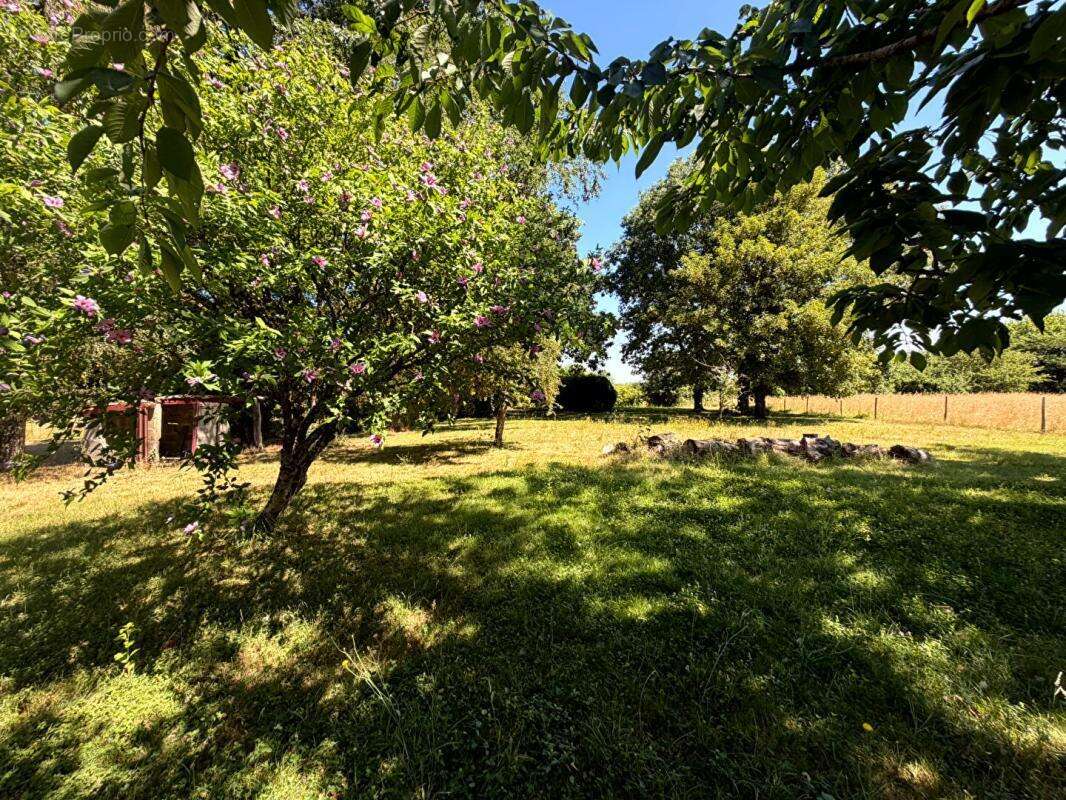 Maison ozillac -159m2 - 4 chambres - grand jardin - prix 246750 hai - photo 13