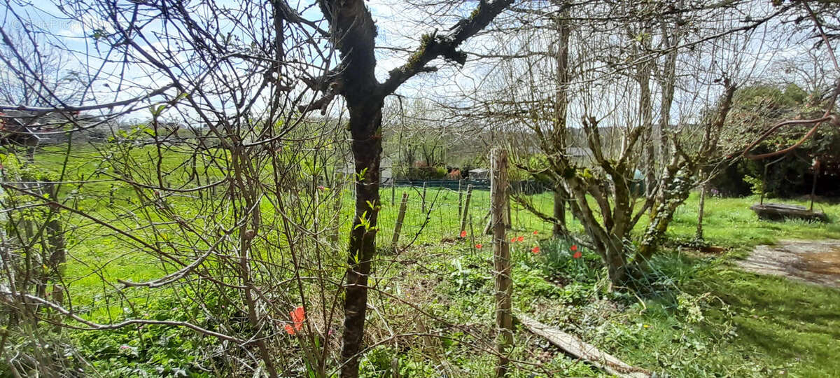 Le jardin - Maison à LA COQUILLE