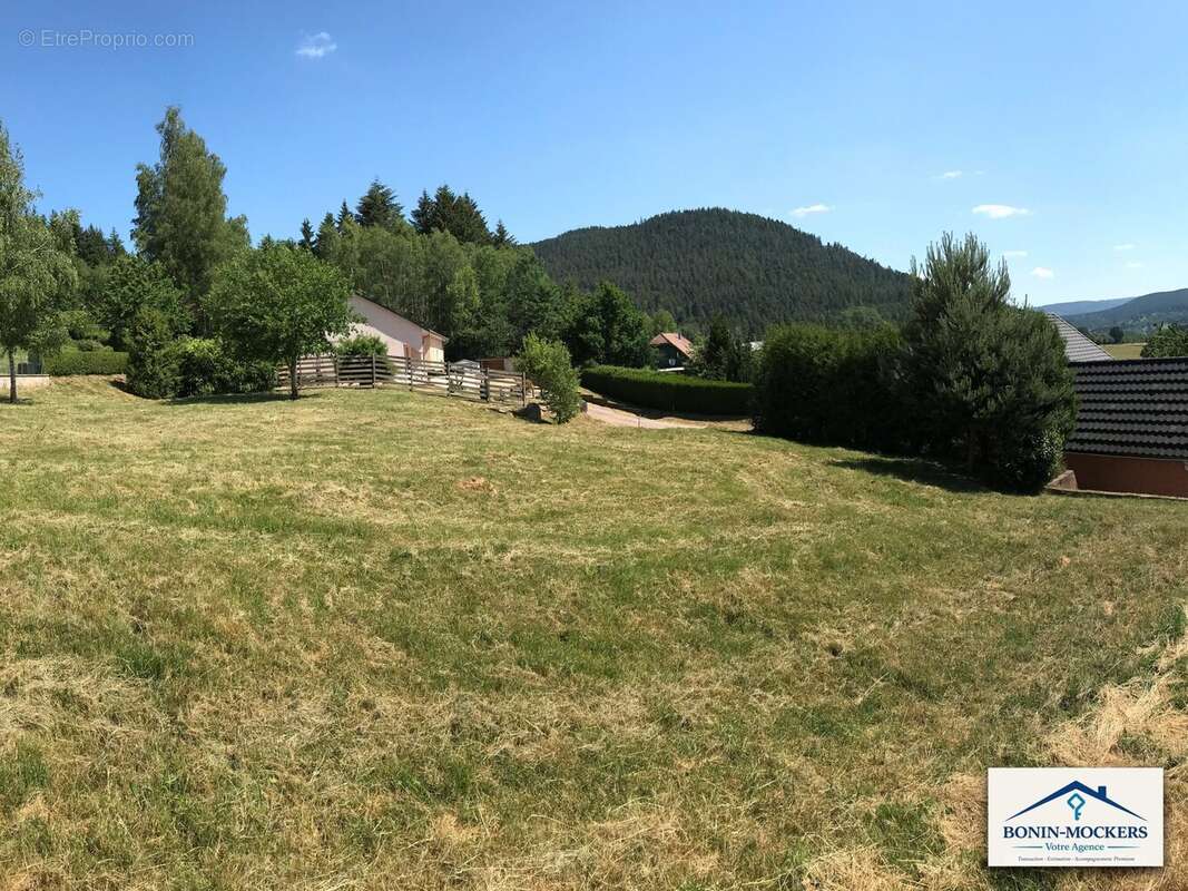 Terrain à SAALES