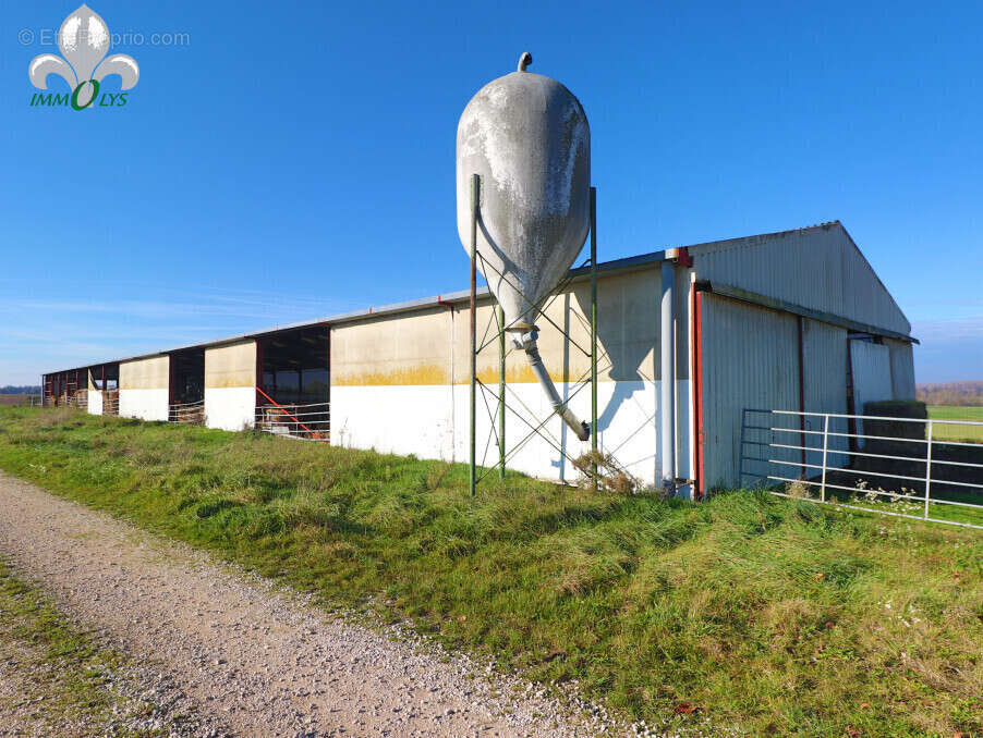 Autre à SAINT-JEAN-DE-LOSNE