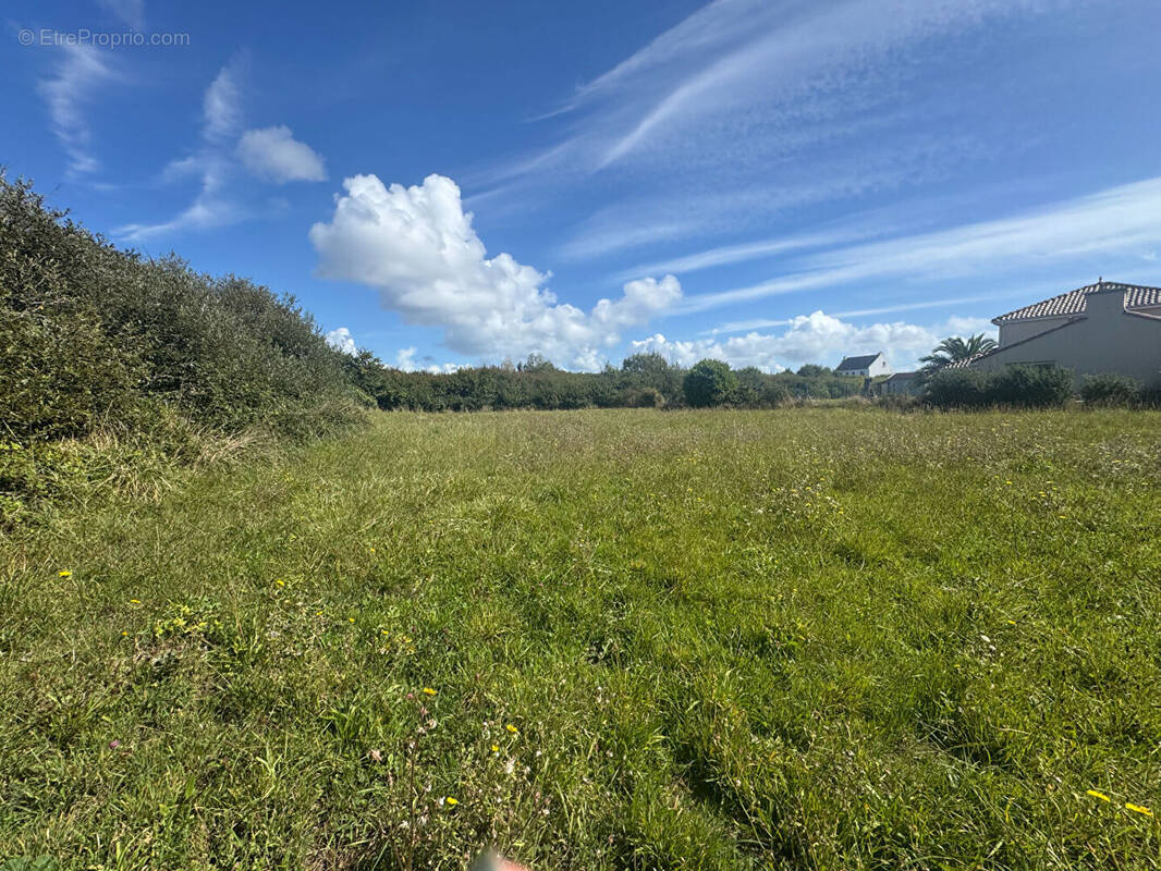 Terrain à CAMARET-SUR-MER