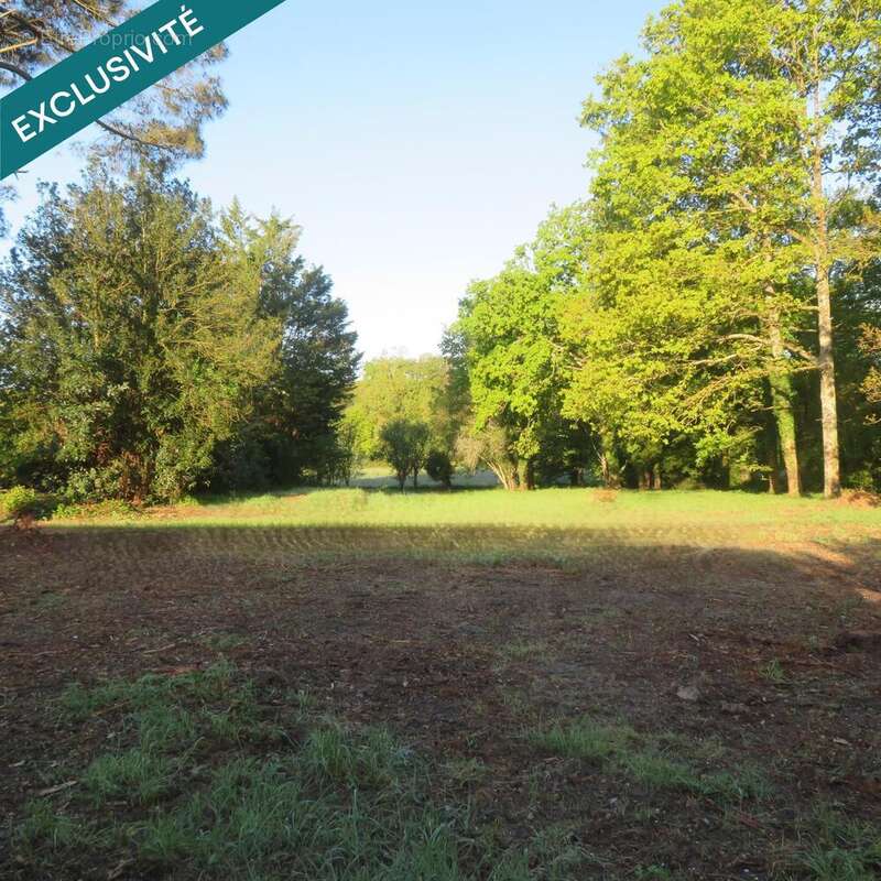 Photo 2 - Terrain à LA GRIGONNAIS
