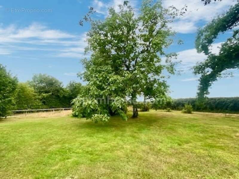 Maison à PONT-L&#039;EVEQUE