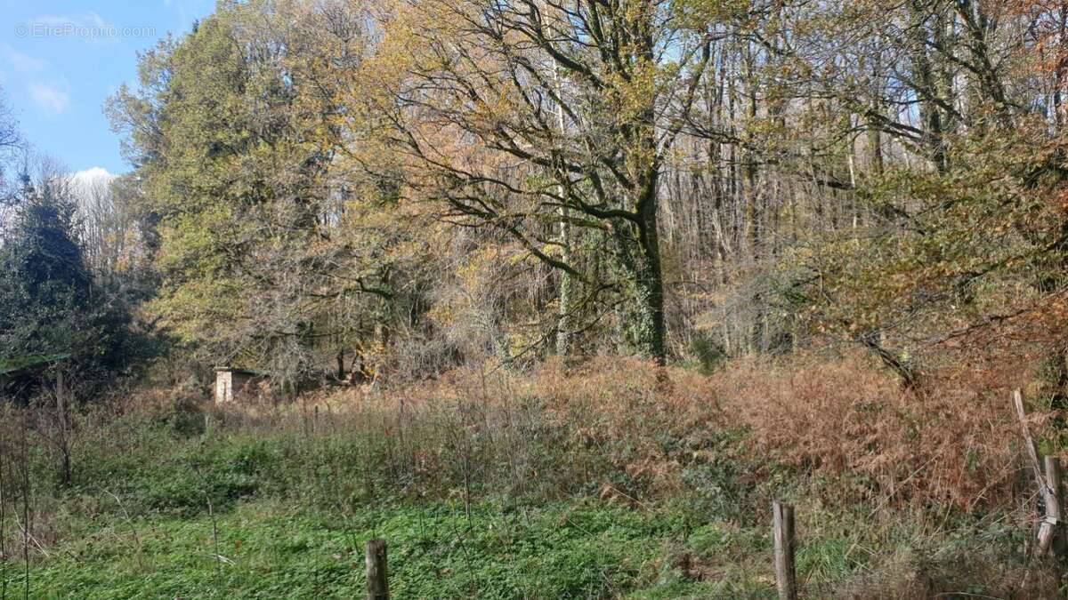 Maison à CHATEAUNEUF-LA-FORET