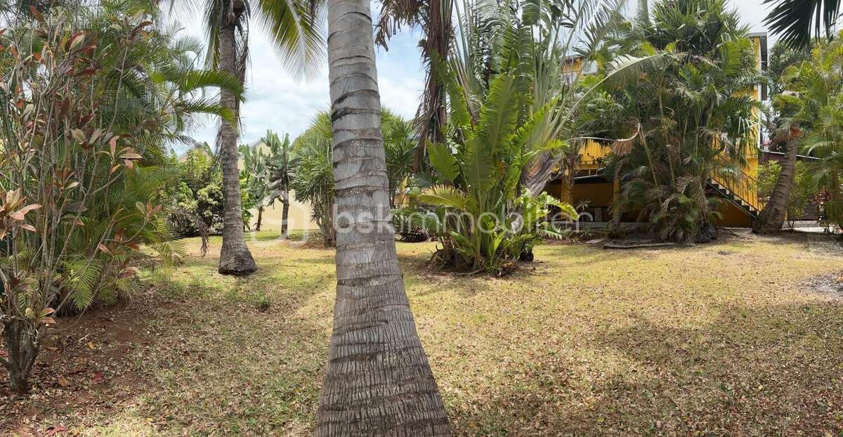 Maison à SAINT-JOSEPH