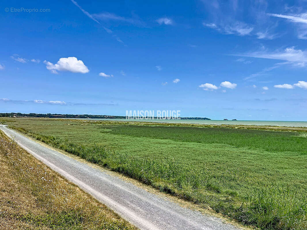 Face à la baie du Mont-Saint-Michel ? Maison familiale avec dépendance, garage et terrain de 1 700 m² - photo 2