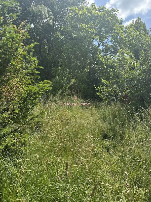 Terrain à CASTELNAU-DE-MEDOC