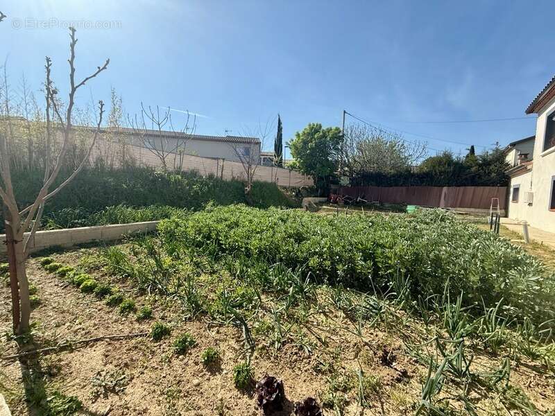 Maison à VILLEMOUSTAUSSOU