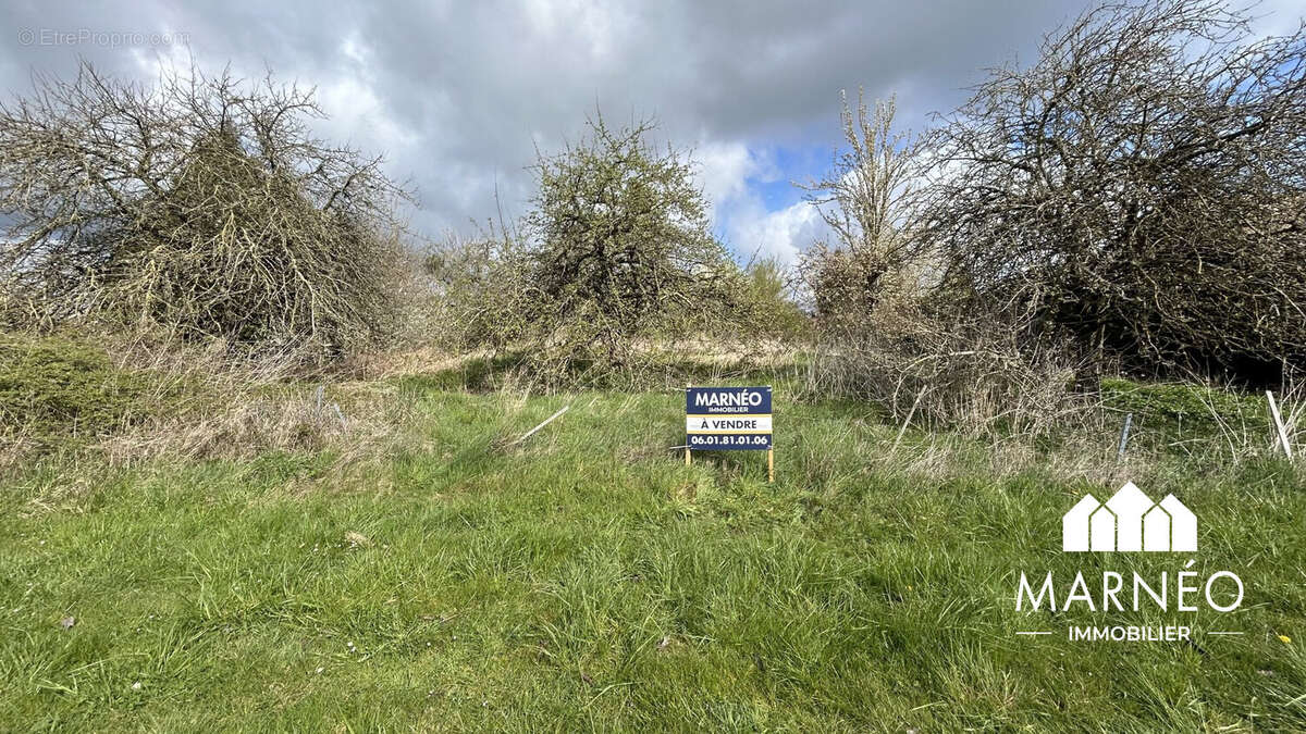 Terrain à SAINTE-MENEHOULD