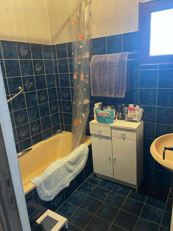 Maison à CASTAGNIERS