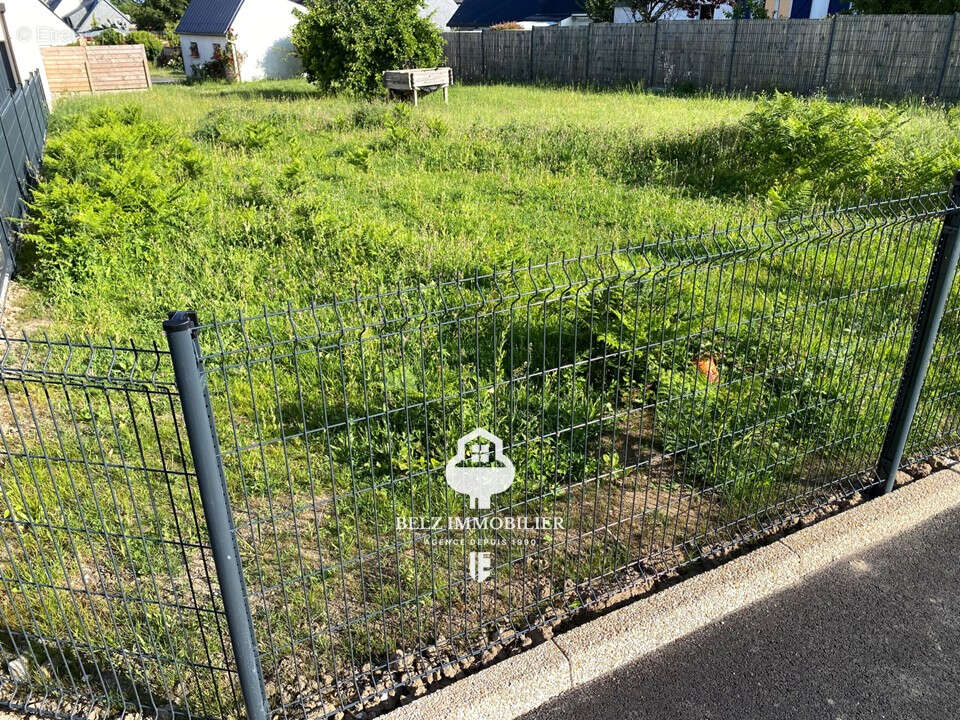 Terrain à BELZ