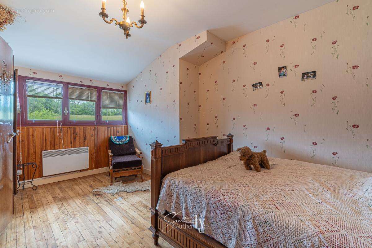 Maison 115 m² à Saint-Priest-Ligoure  - photo 13