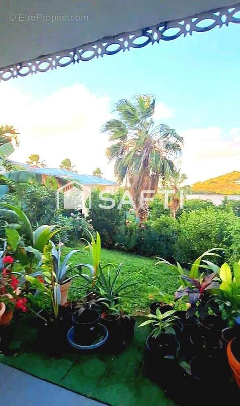 Photo 8 - Appartement à SAINT-MARTIN