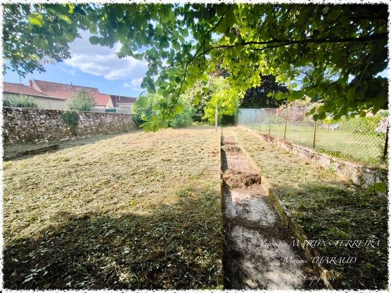 Commerce à MONTMIRAIL