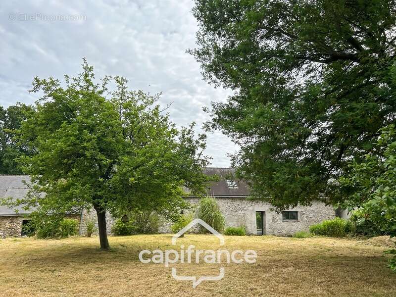 Propriété de caractère avec longère de 185 m², deux logements indépendants, hangar a quelques minutes de pontivy – saint-gérand - photo 18