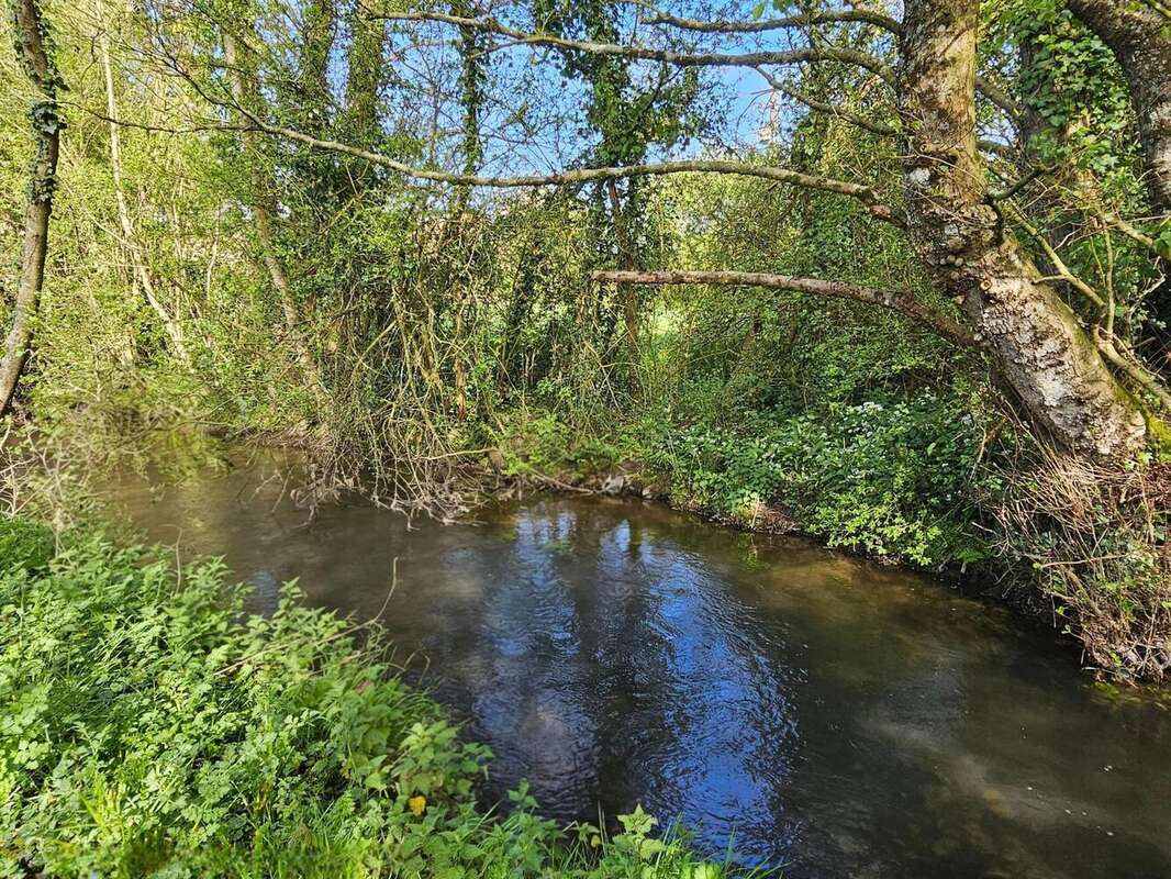 Photo 8 - Maison à MUNEVILLE-LE-BINGARD