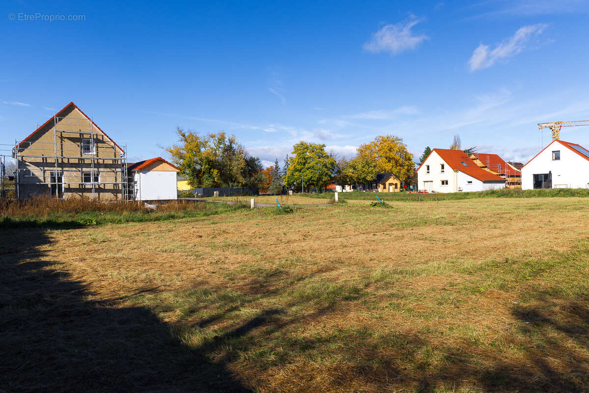 Terrain à BLODELSHEIM