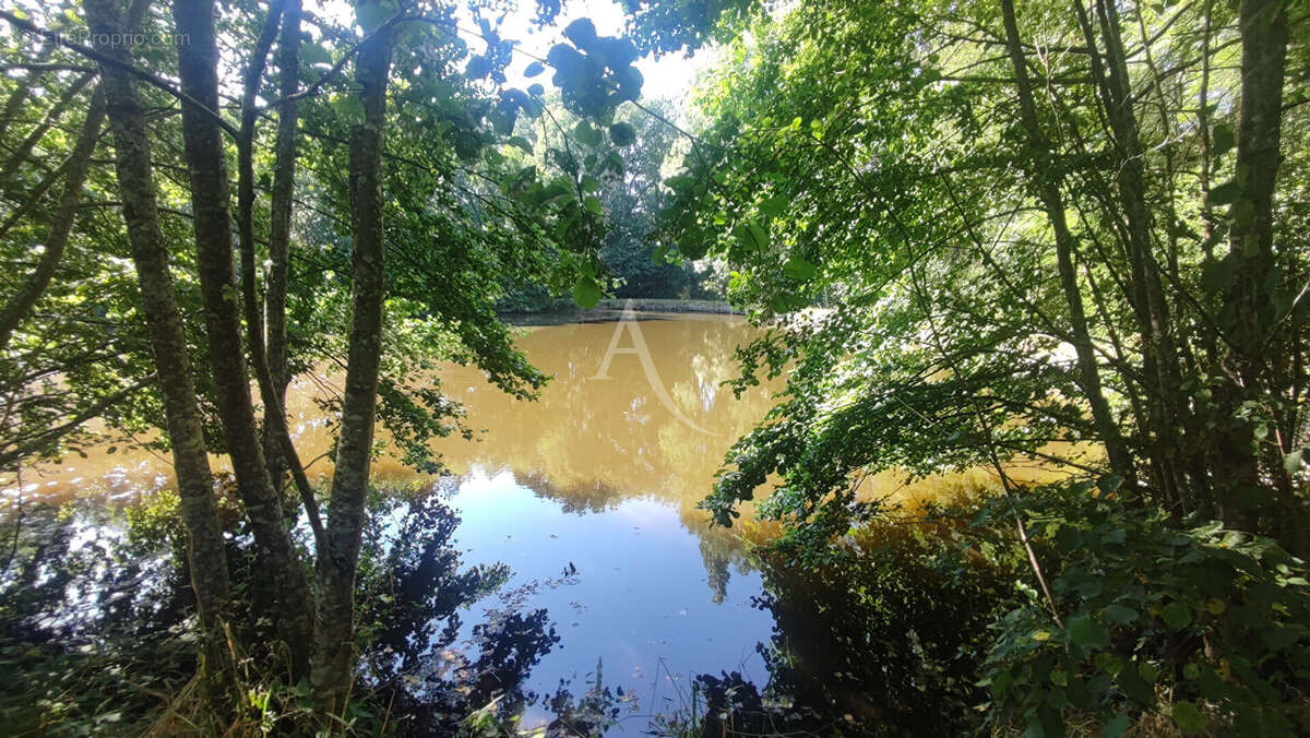 Un véritable havre de paix au poiré-sur-vie ! - photo 7