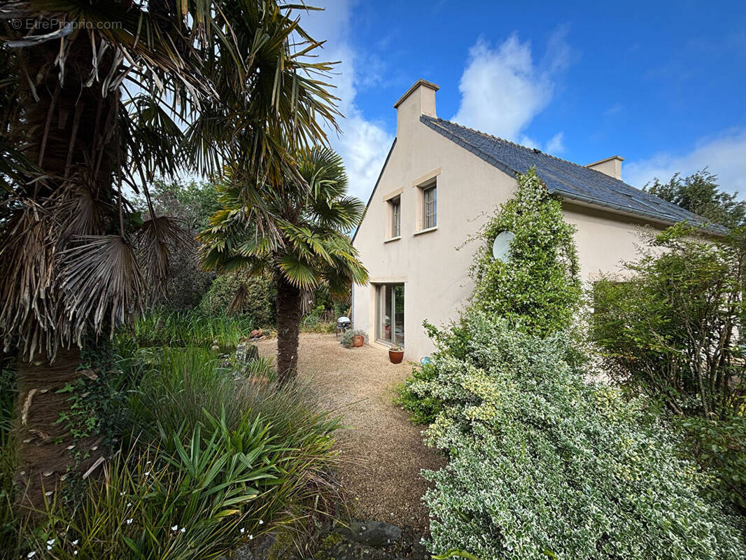 Maison à LAMPAUL-GUIMILIAU
