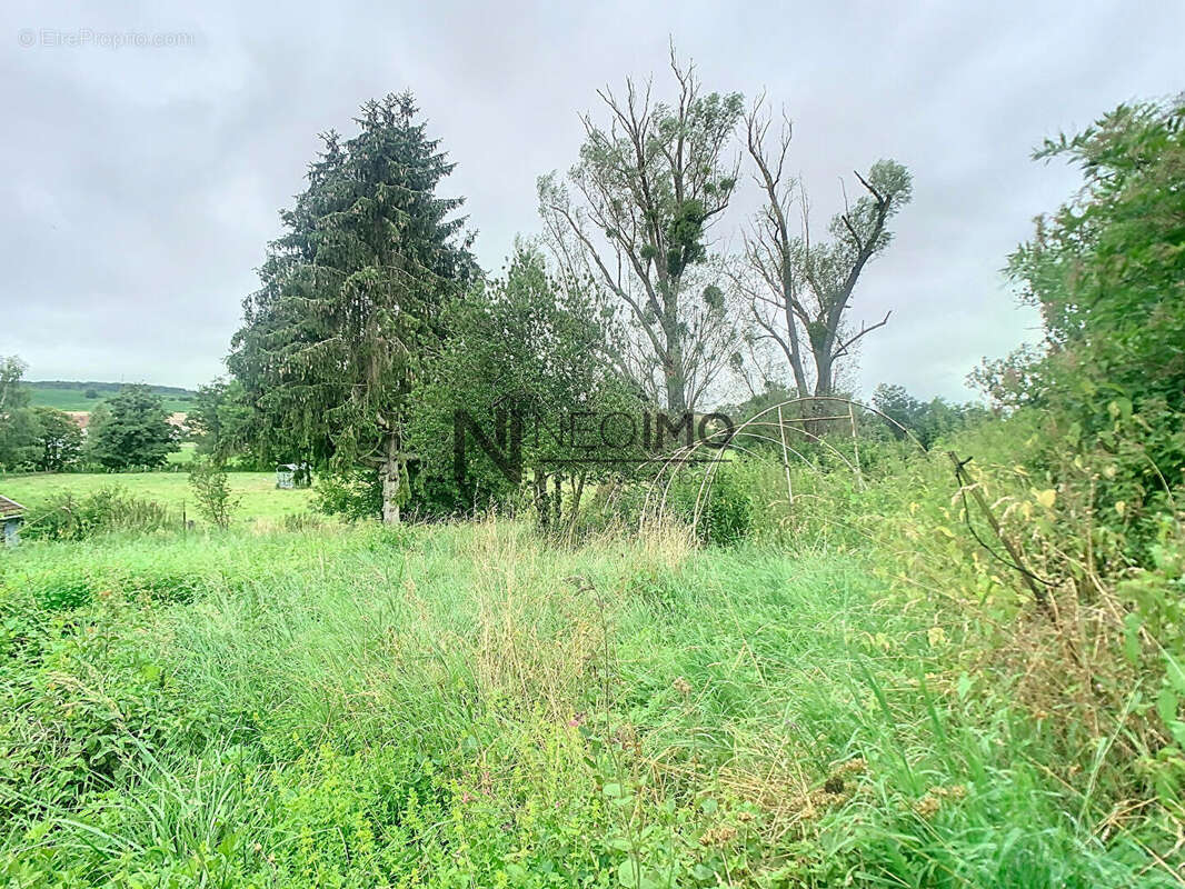 Maison de village de 121,63m² implantée sur une parcelle de 1340m² - photo 10