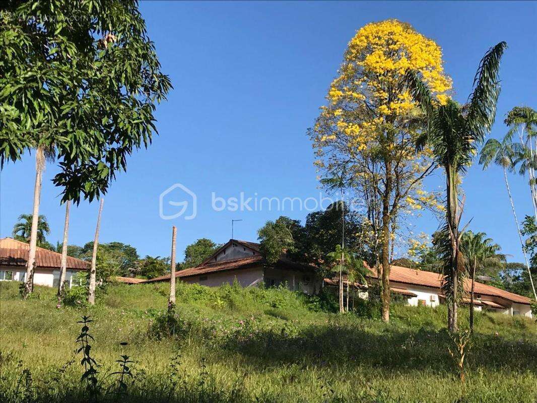 Guyane – ancien centre de rééducation sur 2,58 ha – 1 429 m² bâtis – projets agricoles, médico-sociaux, éducatifs ou collectifs - photo 9