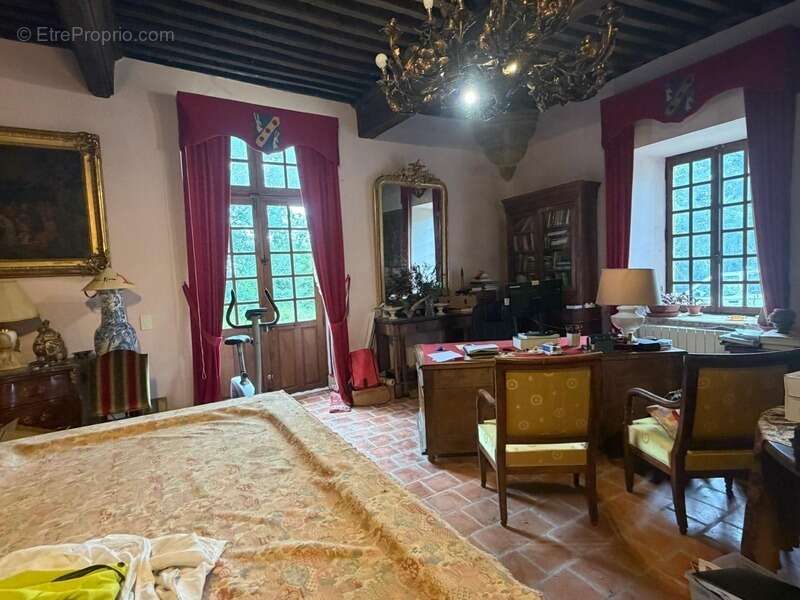 MARCIAC(32): ancienne SEIGNEURIE avec BEAU CHATEAU XIV sur 3,5ha, cachée, au bout du chemin, sans voisin, en campagne, 500m2 hab - photo 50