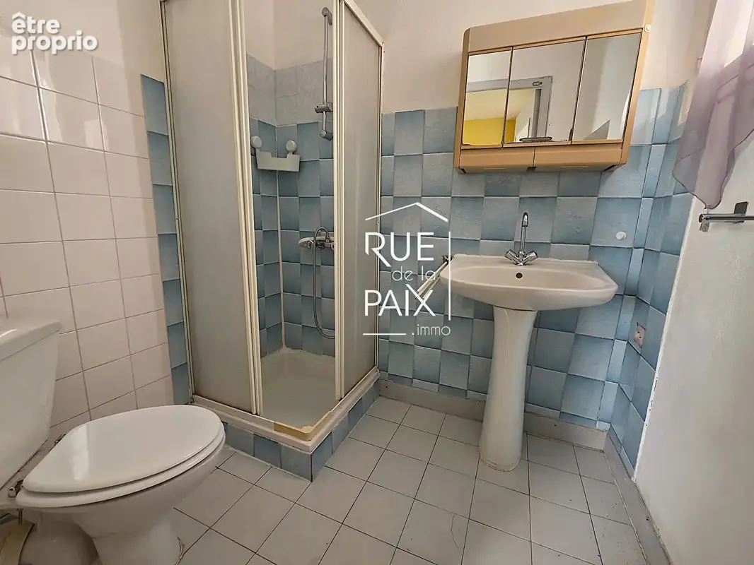 INVESTISSEUR ? Immeuble de rapport / 3 lots ? Poitiers Pont-Neuf - photo 8