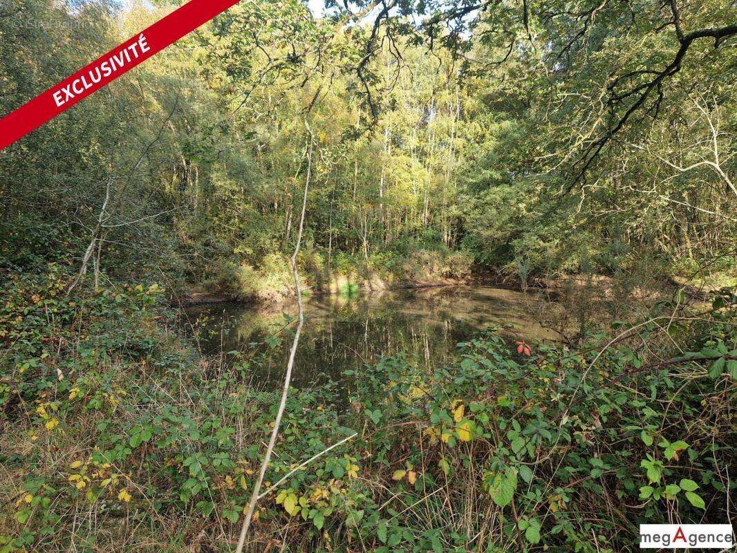 Terrain à MONTENEUF