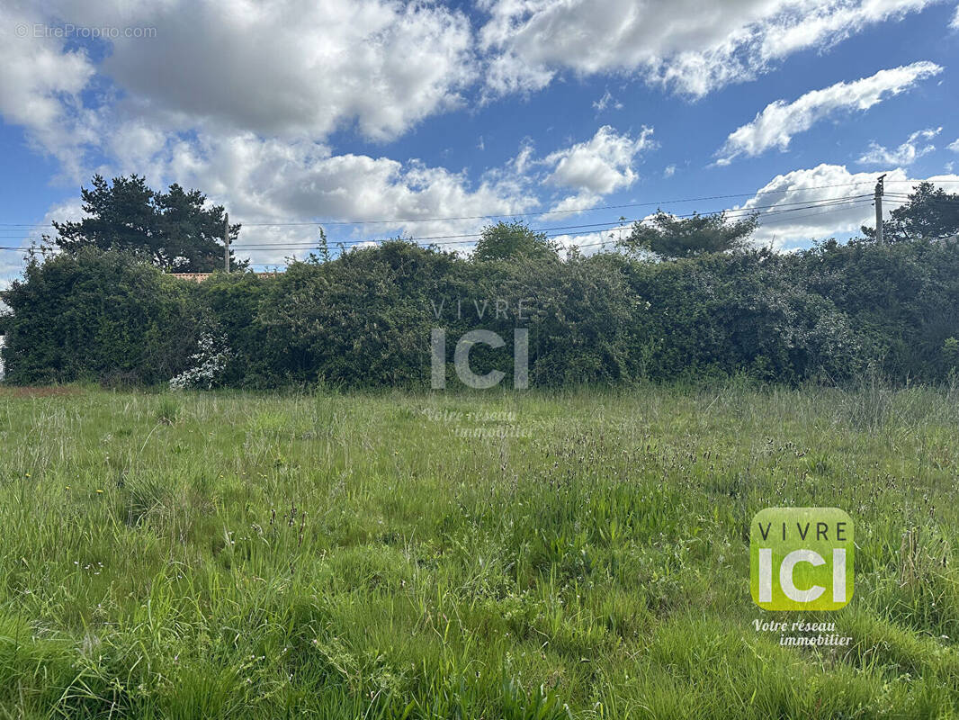 Terrain à PONT-SAINT-MARTIN