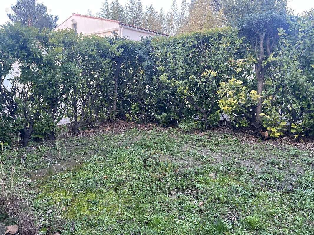 Maison à MONTPELLIER