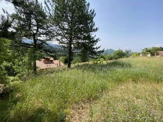 Vente Terrain Soubes(34700) 145 000ï¿œ - photo 2