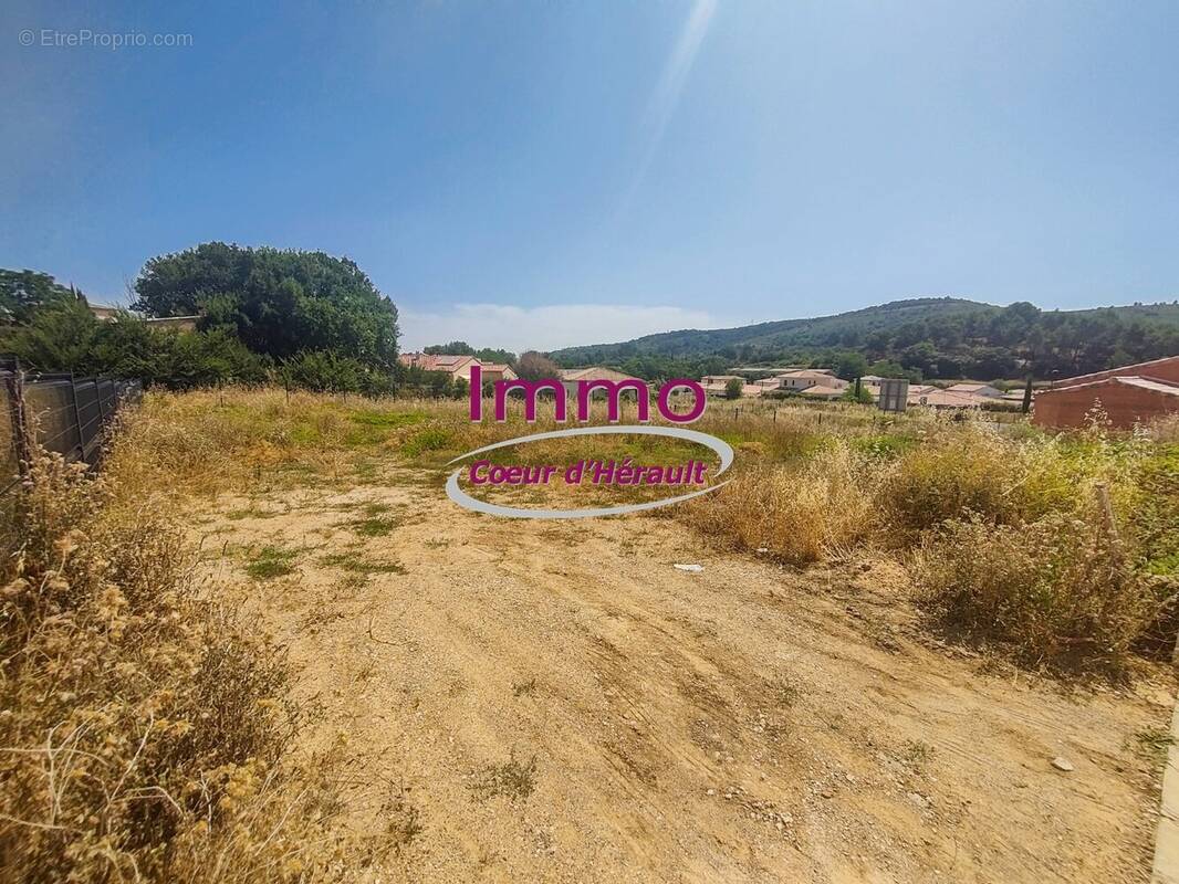 Clermont l'Hérault, entre nature et ville, terrain à bâtir viabilisé de 780 m² - photo 2