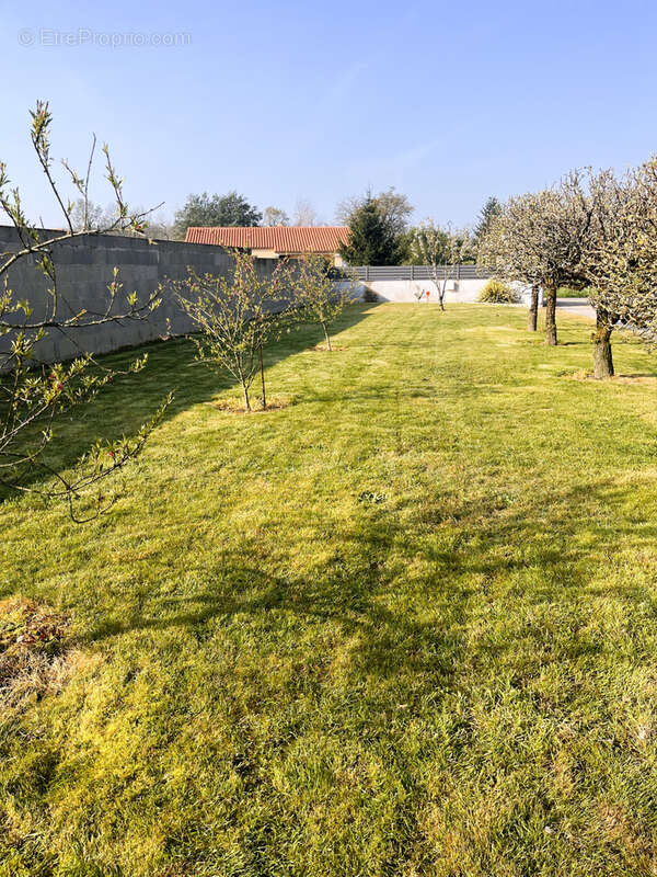 Terrain à GROSBREUIL