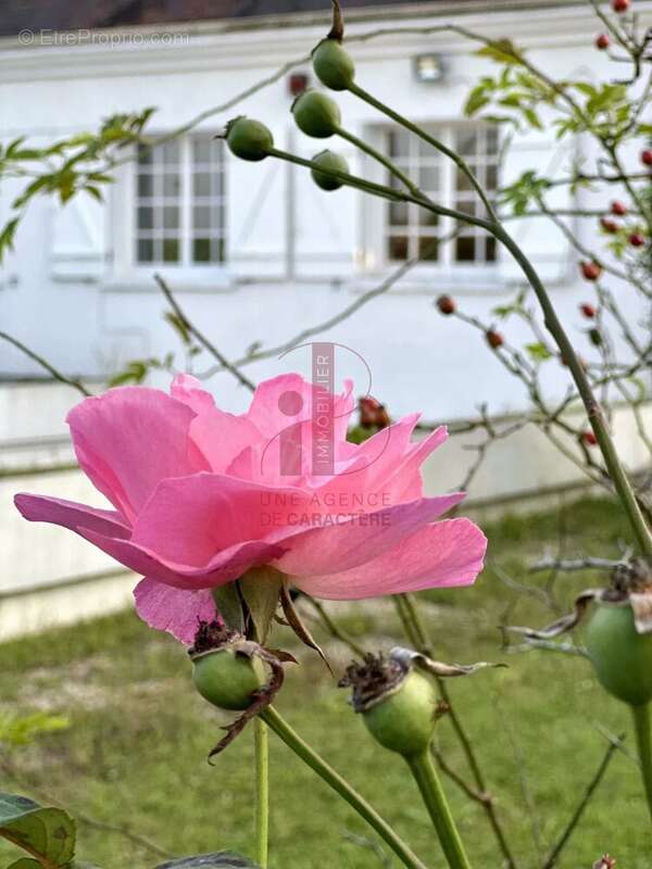 Maison à SAINT-MARTIN-EN-BIERE