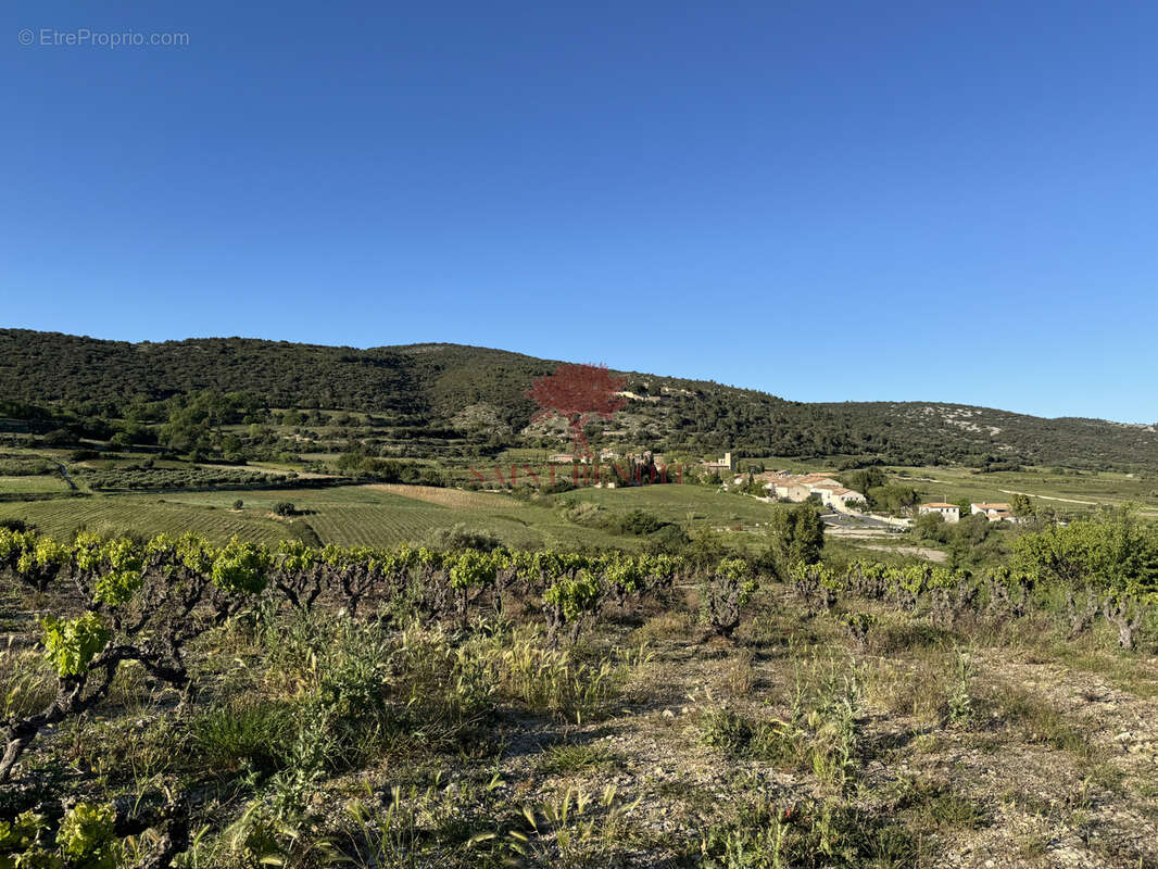 Terrain à MONTPEYROUX
