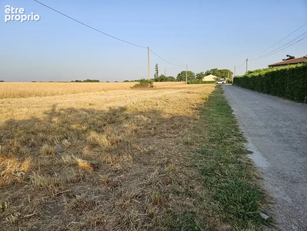 Seysses terrain constructible - photo 3
