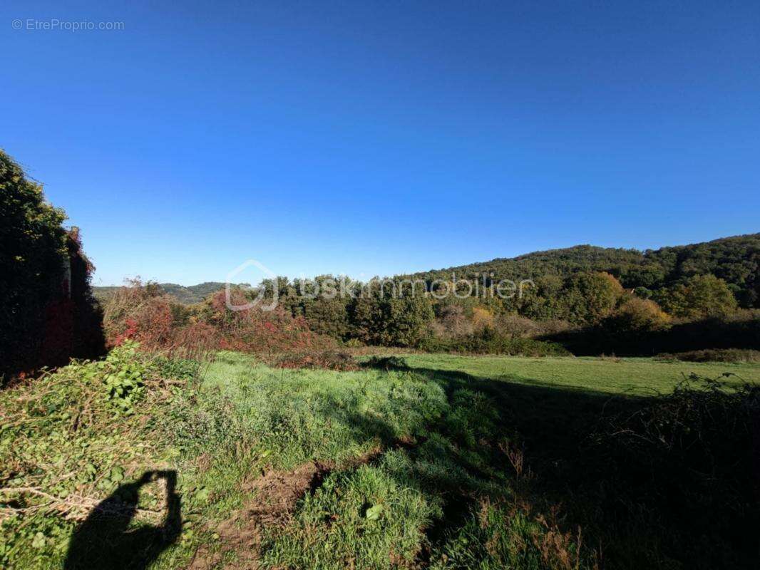 Maison à SAINT-JULIEN-DE-LAMPON