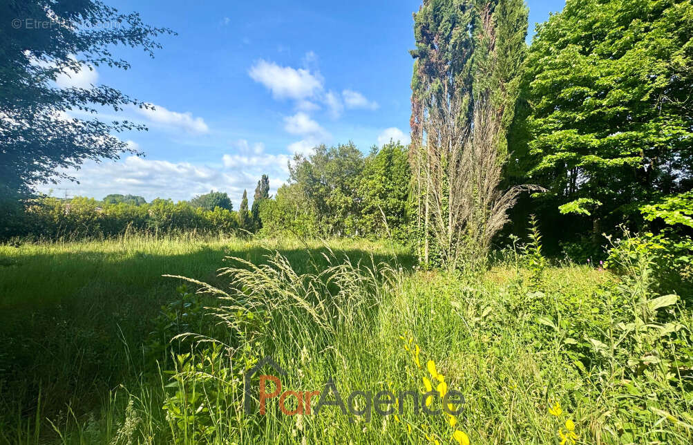Terrain à VAUX-SUR-MER