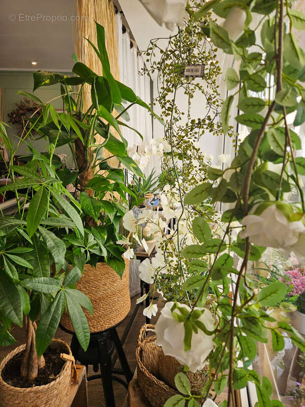 Commerce à TOURNON-SUR-RHONE