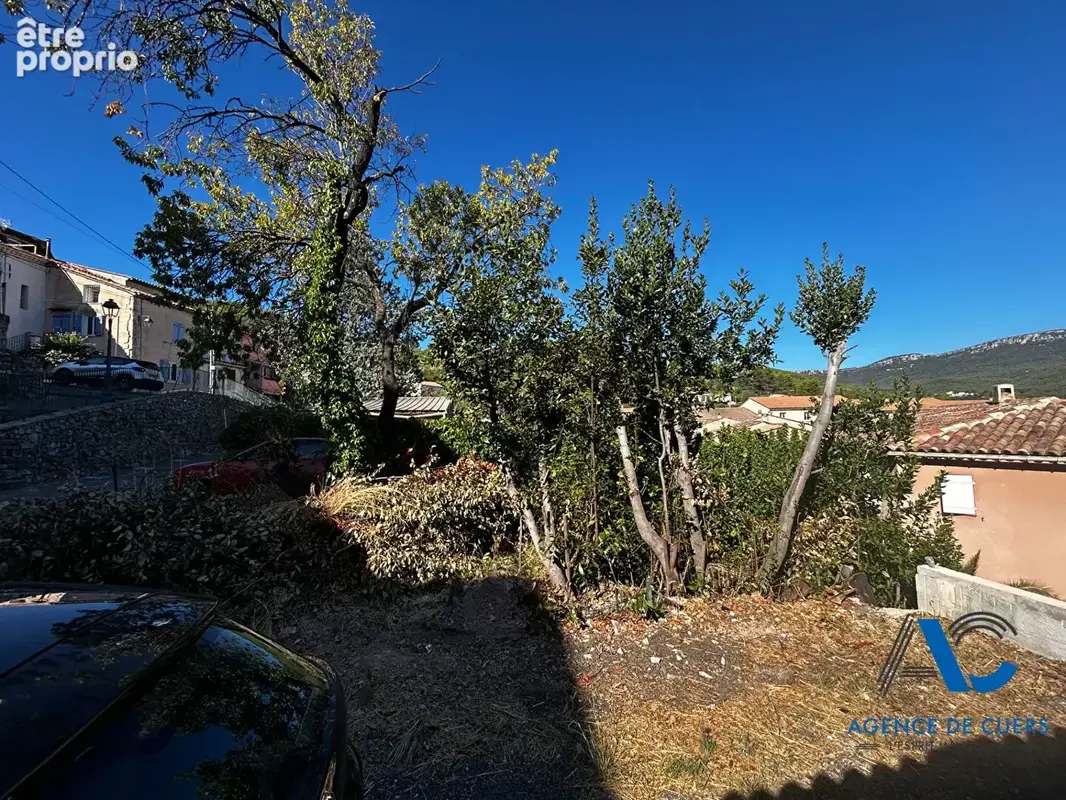 Terrain Cuers 87 m2 - photo 2