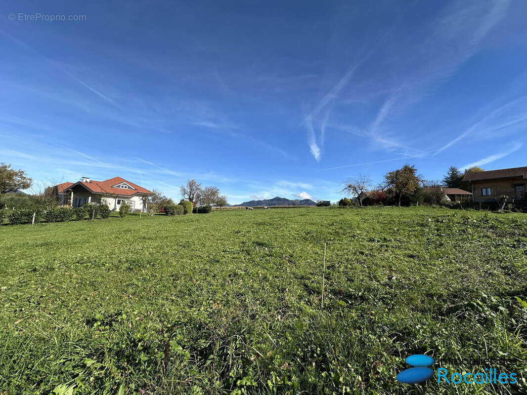 Terrain à FAUCIGNY