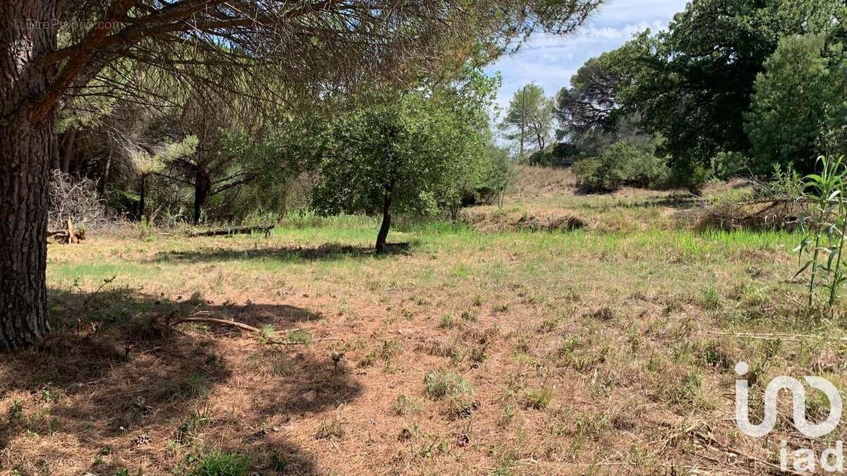 Photo 2 - Terrain à FREJUS