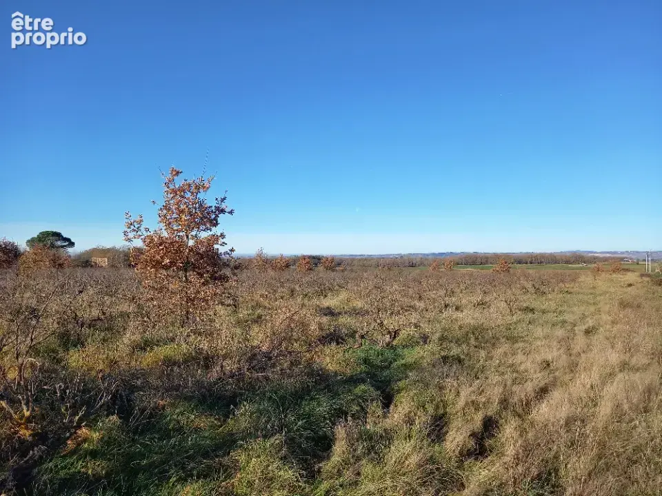 Terrain à TECOU