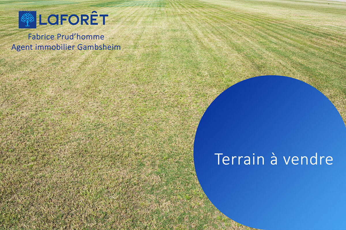 Terrain à DALHUNDEN