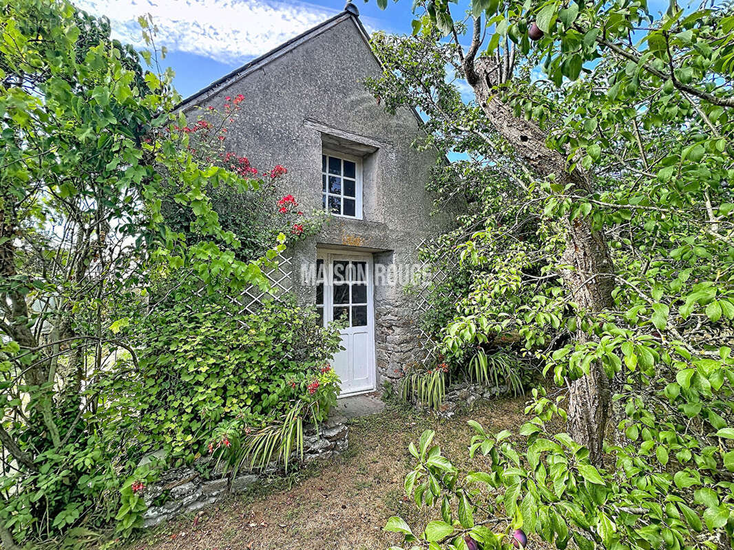 Maison en pierre, vie de plain-pied, dépendance aménageable, garage et grand terrain, proche mer - photo 13