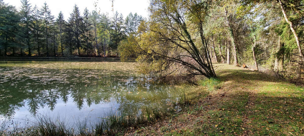 20251105_142349 - Terrain à PIEGUT-PLUVIERS