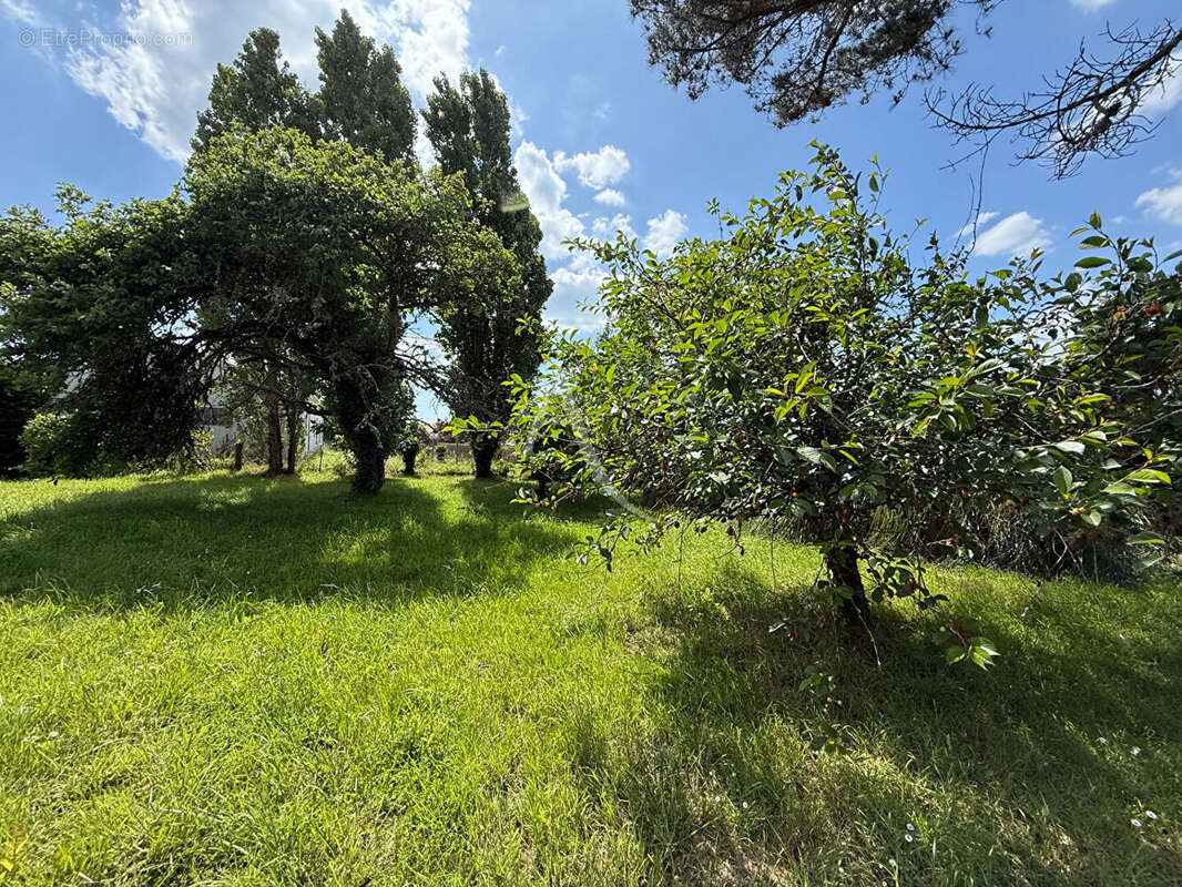 Terrain à GIVRAND