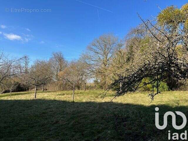 Photo 3 - Maison à MORTAGNE-AU-PERCHE